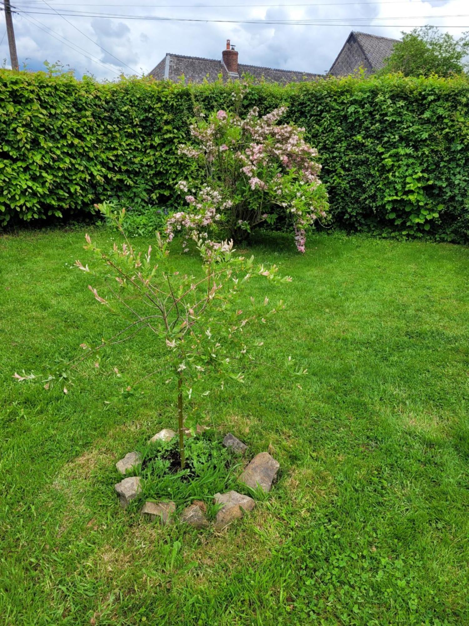 Studio Bienvenue Du Cote De Chez Nous Avec Jardin Privatif Wignehies 외부 사진